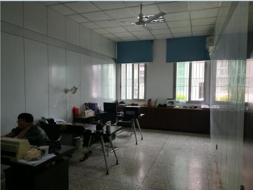 南平市建甌市建筑抗震性能檢測鑒定及工程質(zhì)量評估服務指南